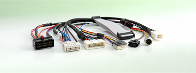 Cable & Connector
